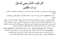 sec 6.pdf